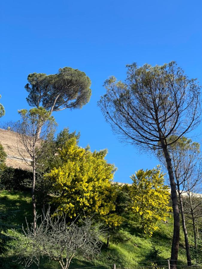 Vatican Green Holidays House 로마 외부 사진